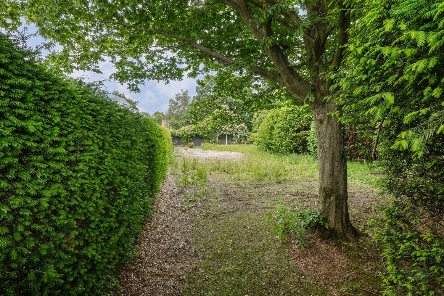 Te renoveren gezinswoning met bijgebouw (woonst) of projectgrond foto 42