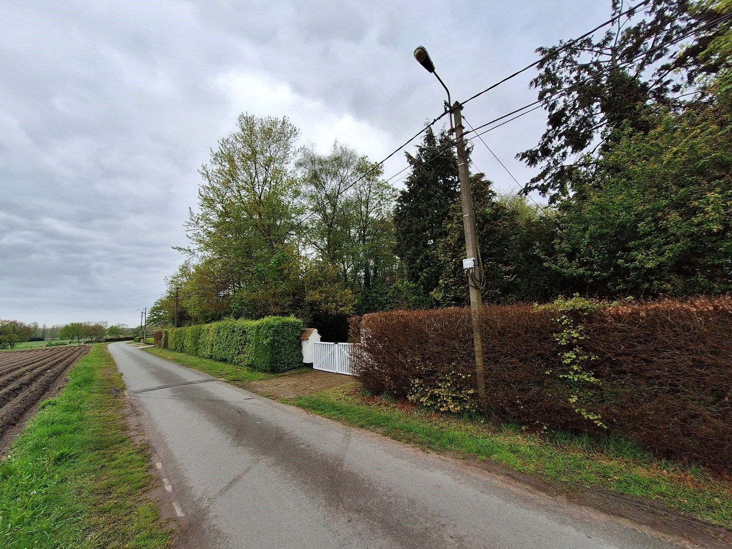 Perceel bouwgrond in landelijke omgeving - zonder bouwverplichting! foto 7
