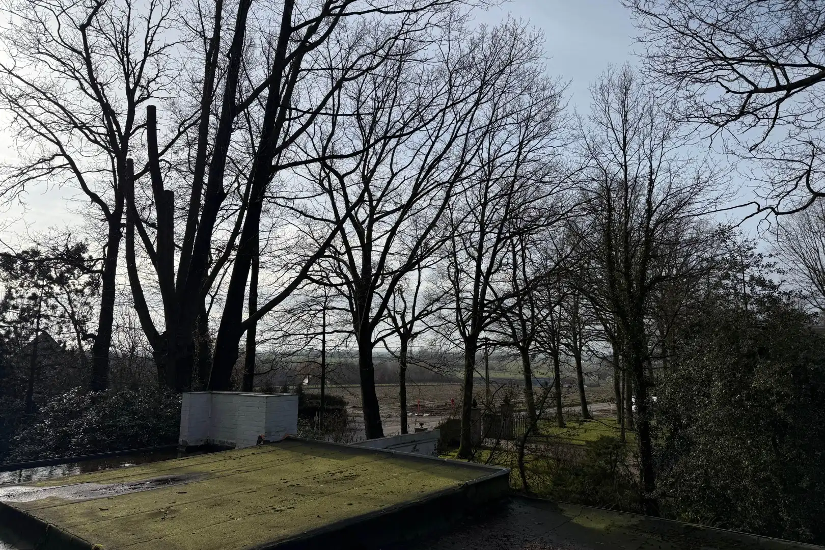 Bouwen aan de rand van Bellegembos. foto 4