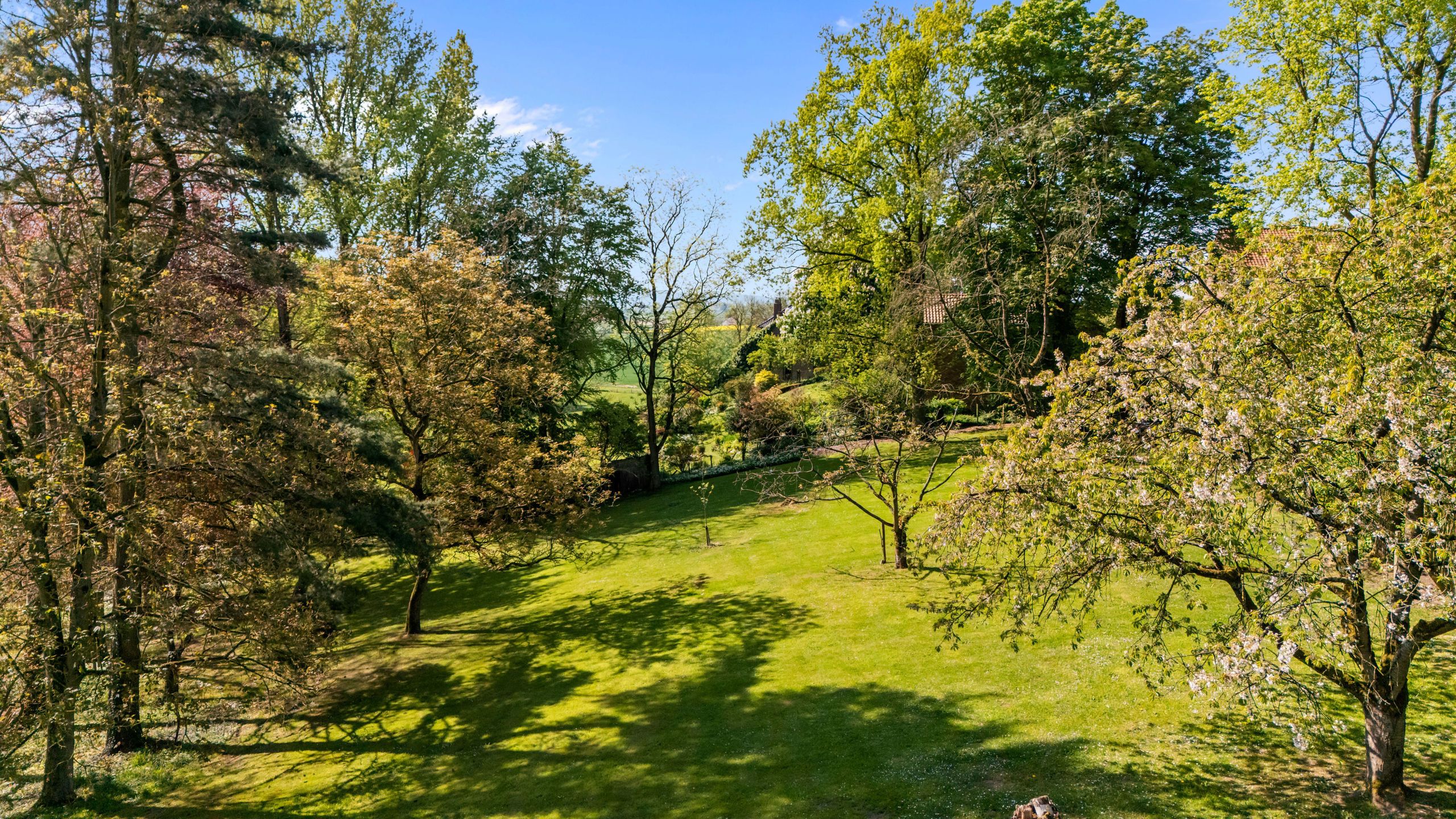 Met smaak gerenoveerde landelijke woning op +/- 63a foto 4