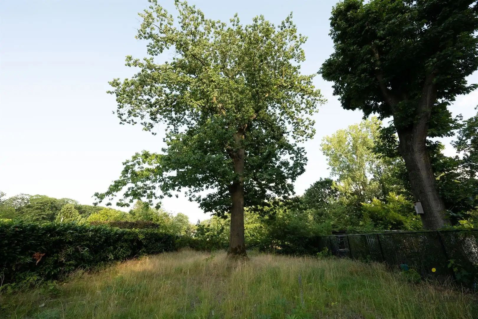 Rustig gelegen bouwgrond van 1.035 m² in het groene Voorkensheide! foto 2