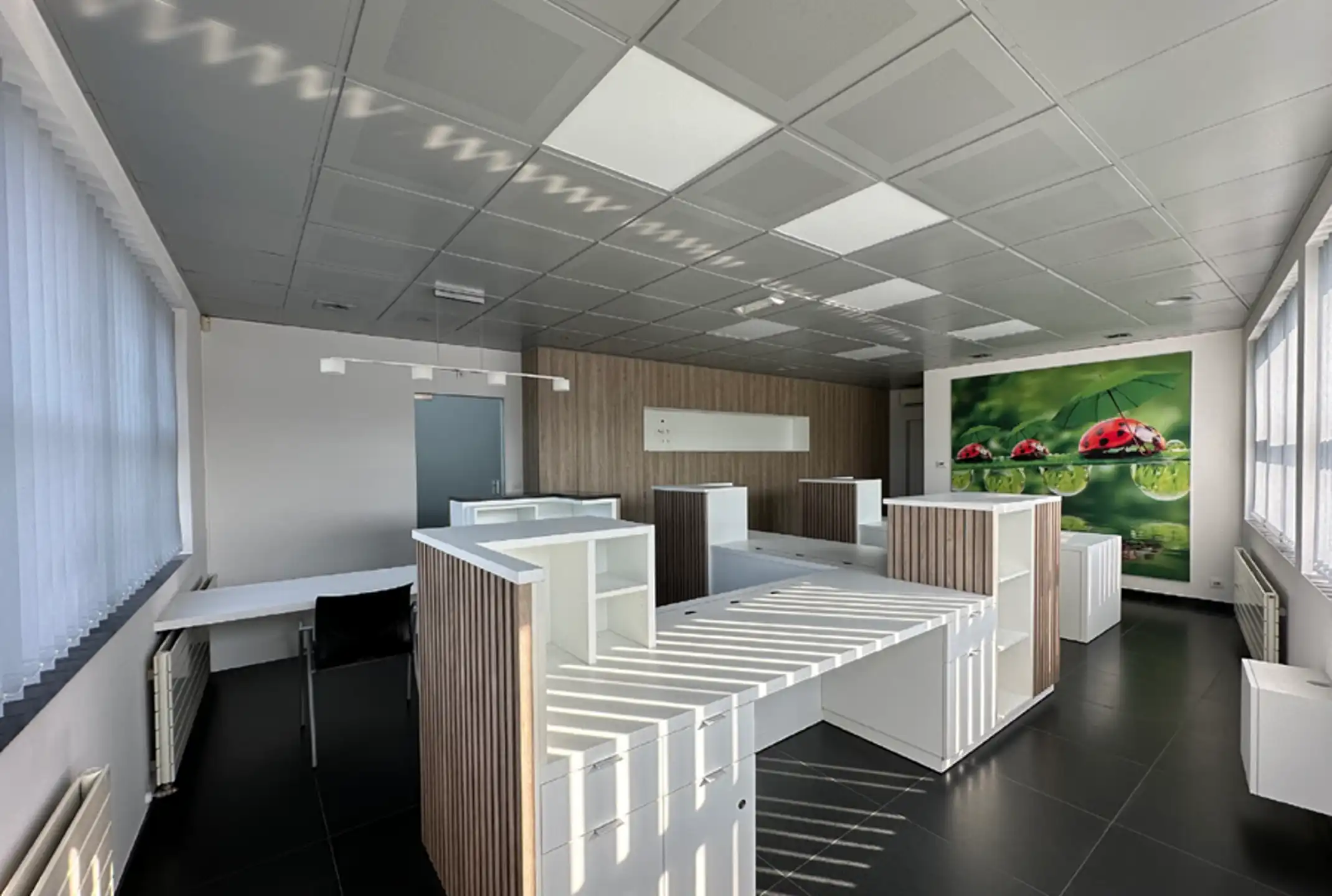 Bedrijfspand met Magazijn, Kantoren & Woonst op Topzichtlocatie E17 – Kruisem foto 4