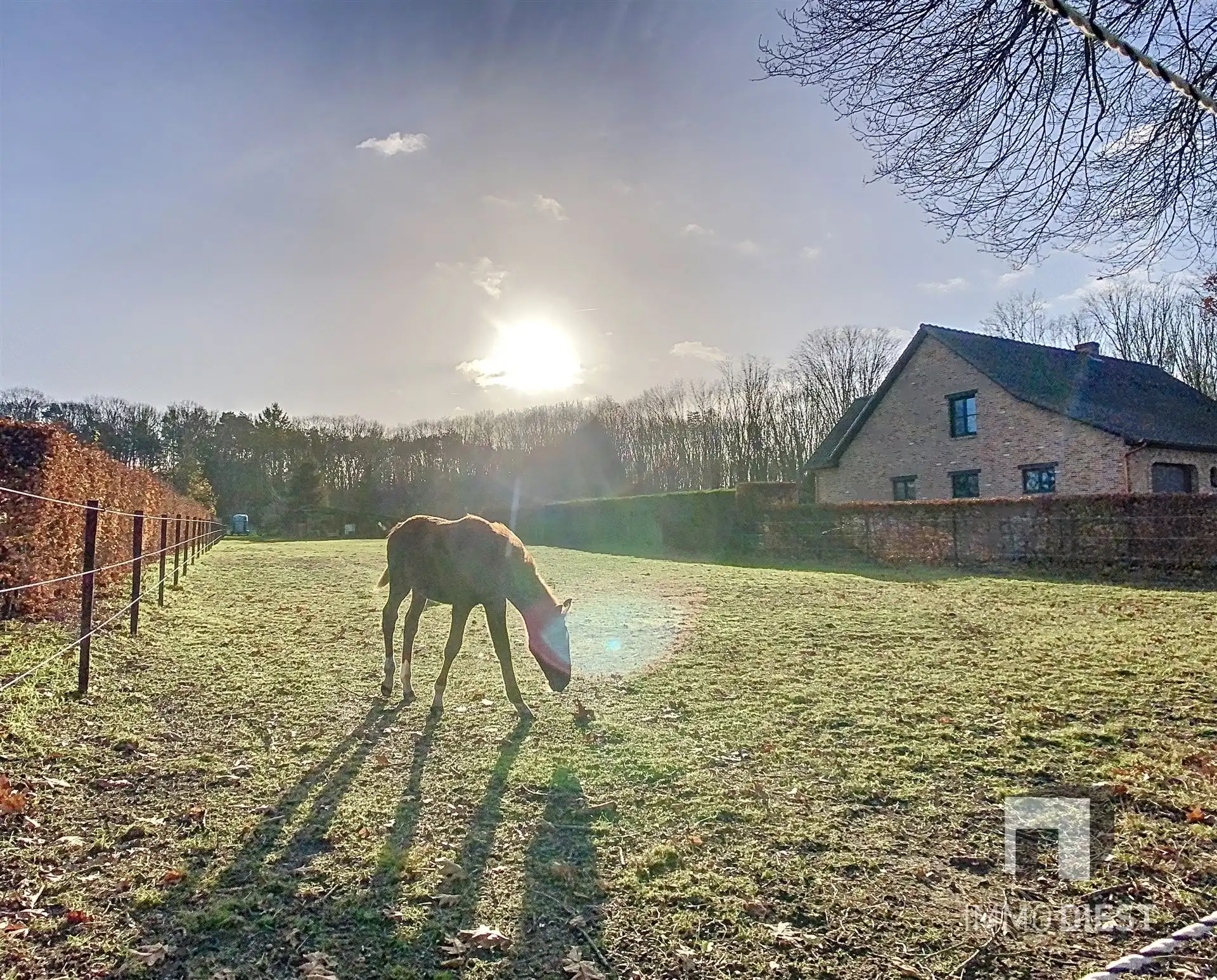 Residentiele bouwgrond - 21,25are - zuid gericht foto 8