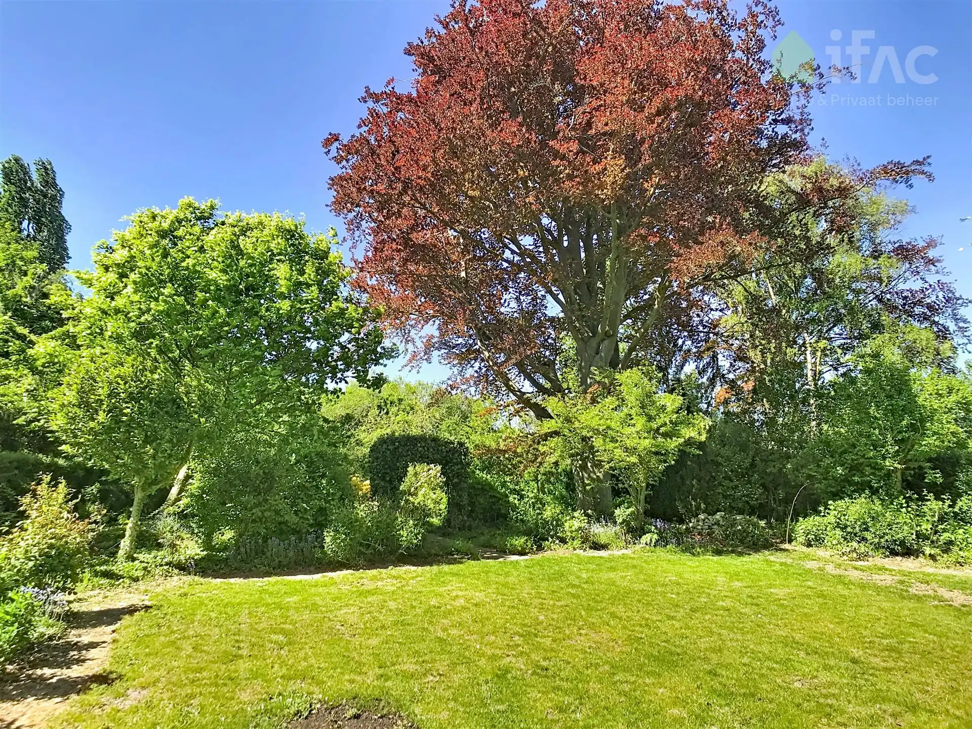 Villa op toplocatie met prachtige tuin foto 9
