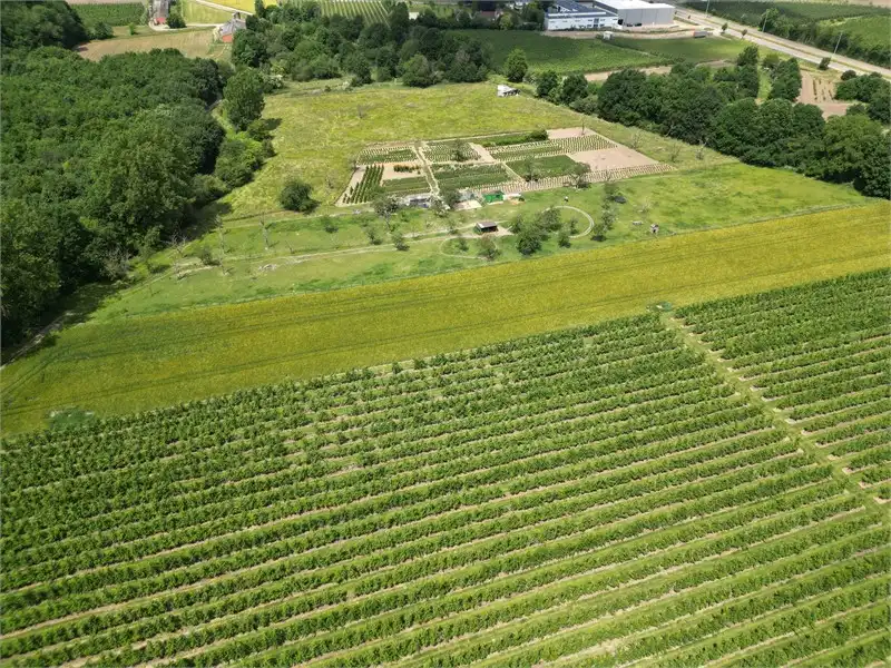 WEIDE VAN 1H5A68CA IN ORDINGEN foto 5