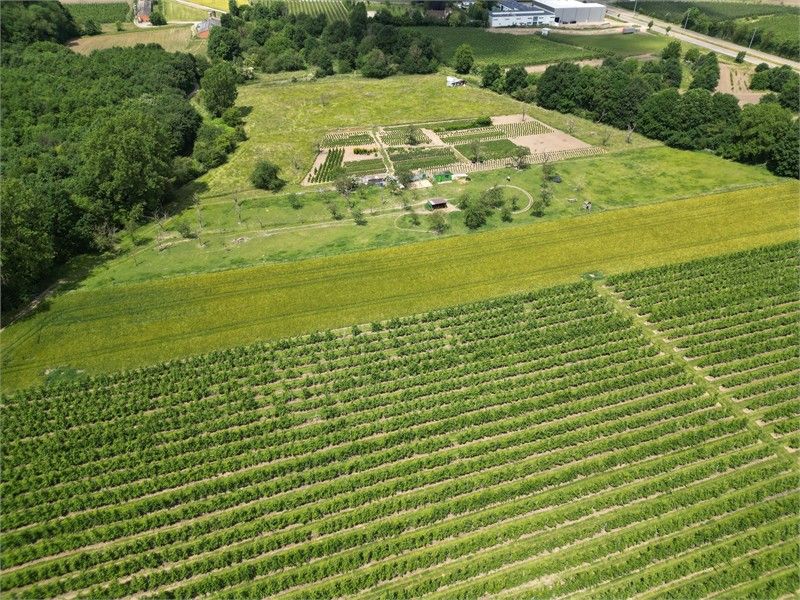 WEIDE VAN 1H5A68CA IN ORDINGEN foto 5