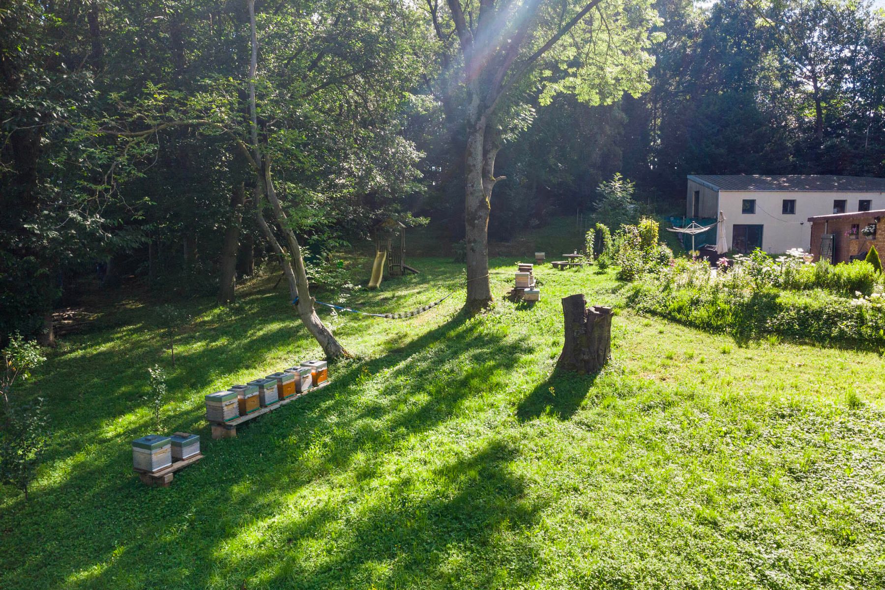 Unieke woning te midden van het prachtige Kamerijkbos foto 28