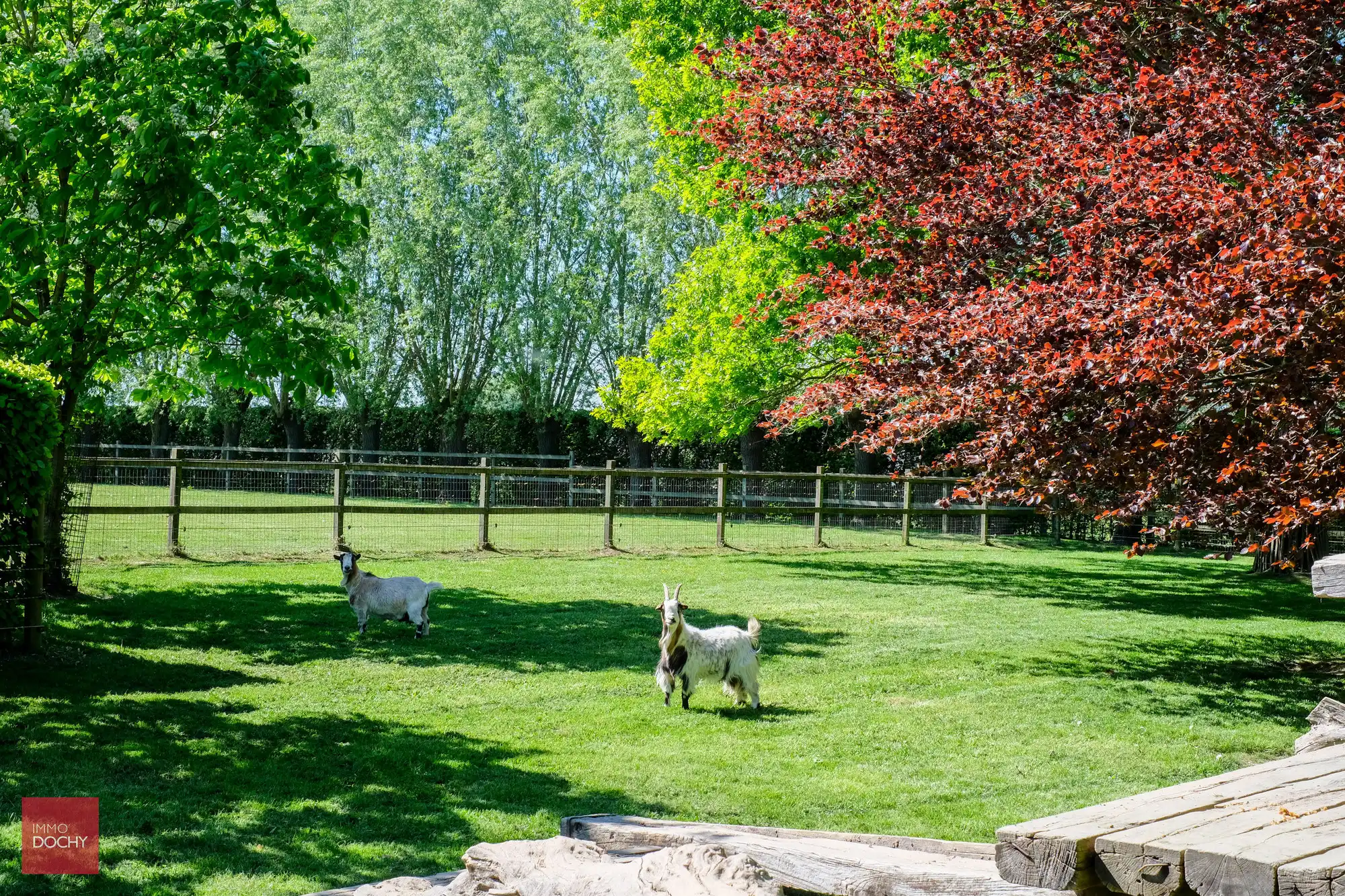 Zeer goed onderhouden gerestaureerde hoeve foto 15