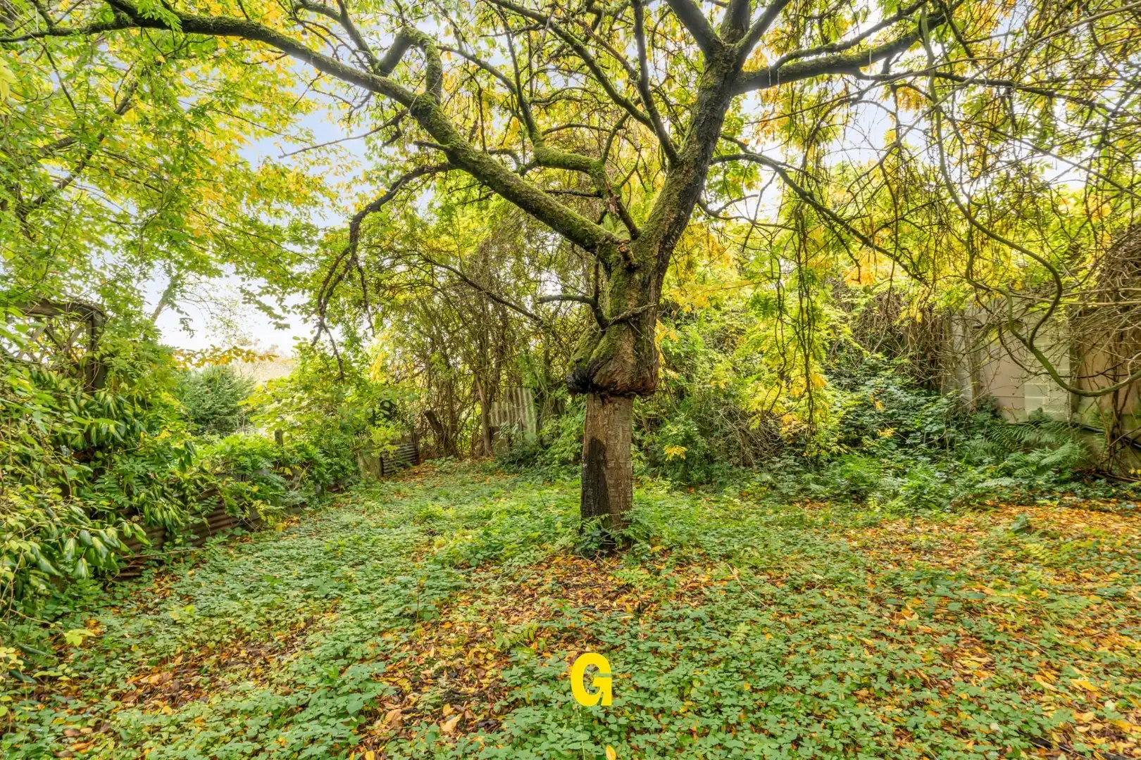 VERKOCHT - Degelijk gebouwde halfopen woning met tuin en 315 m² vergunde opslagplaatsen en garage, vlak bij het centrum van Hoeselt foto 30