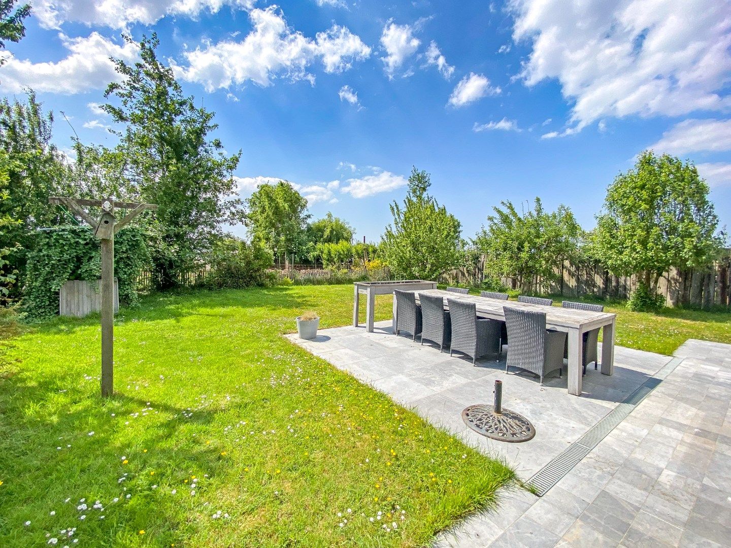 Ruime lichtrijke woning op 555 m² en 3 slaapkamers. foto 4