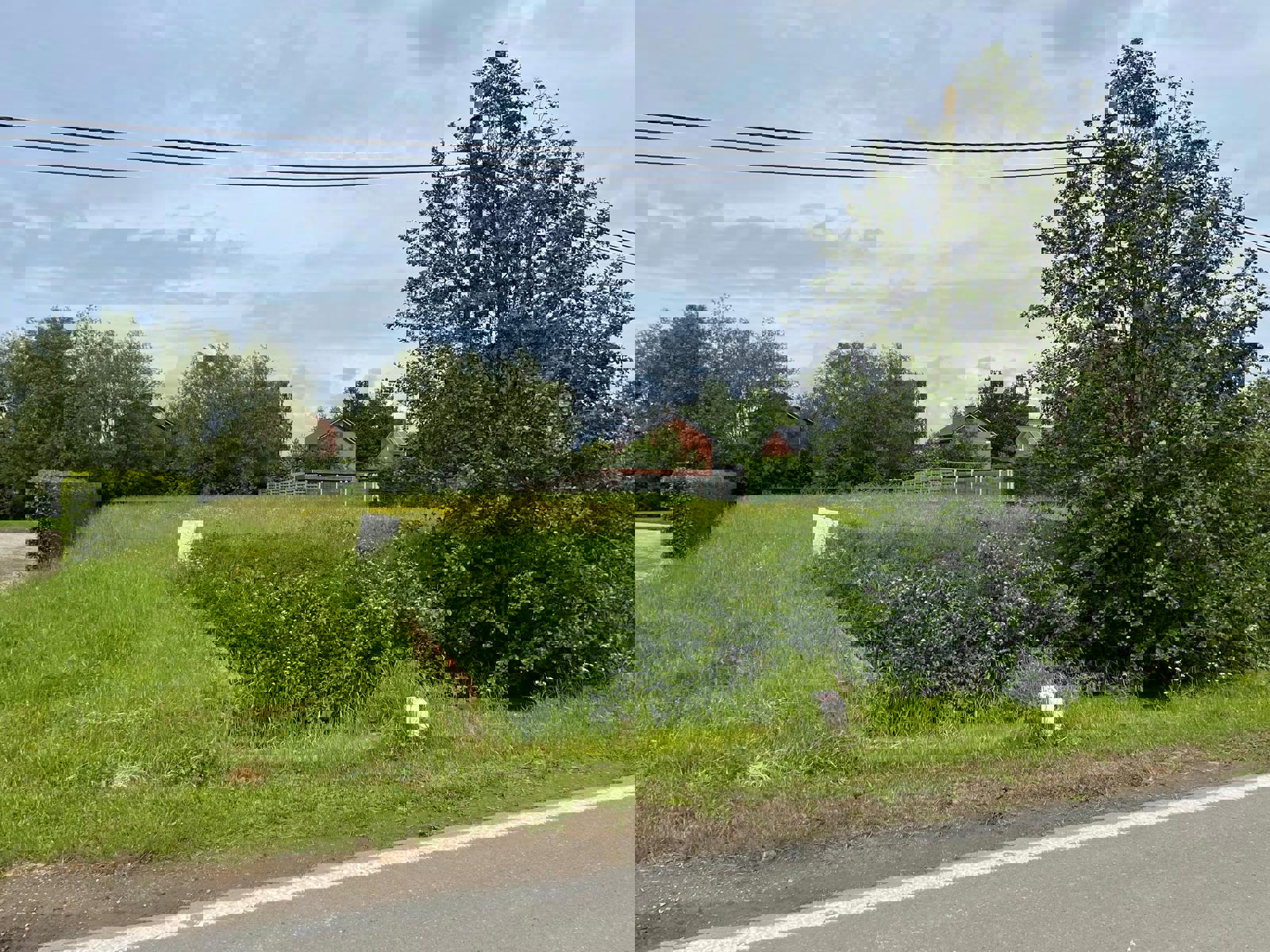 Villapercelen foto 3