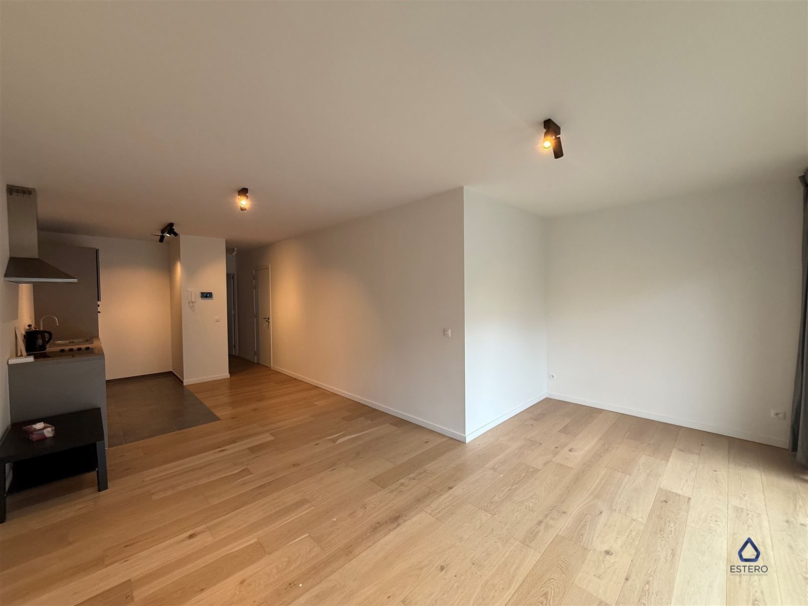 Ruim 2-slaapkamerappartement nabij het bruisende Eilandje foto 6