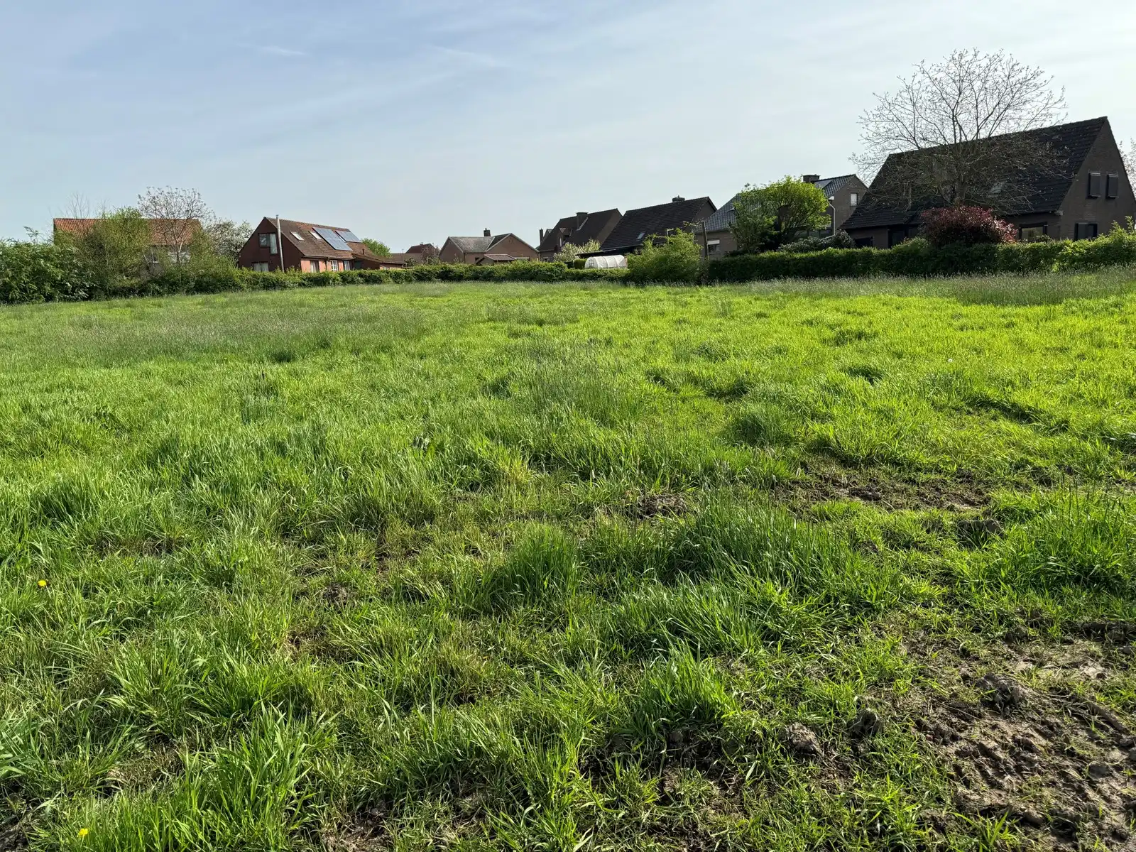 Bouwgronden foto {{pictureIndex}}