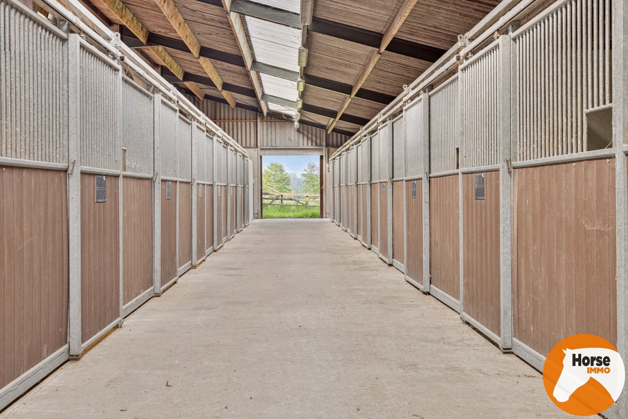 JABBEKE - Luxueuze paardenaccommodatie met woning foto 14