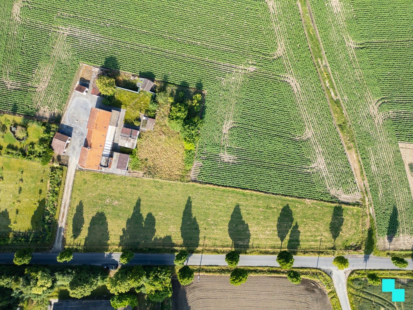 Landelijk te renoveren woning met verzichten foto 6
