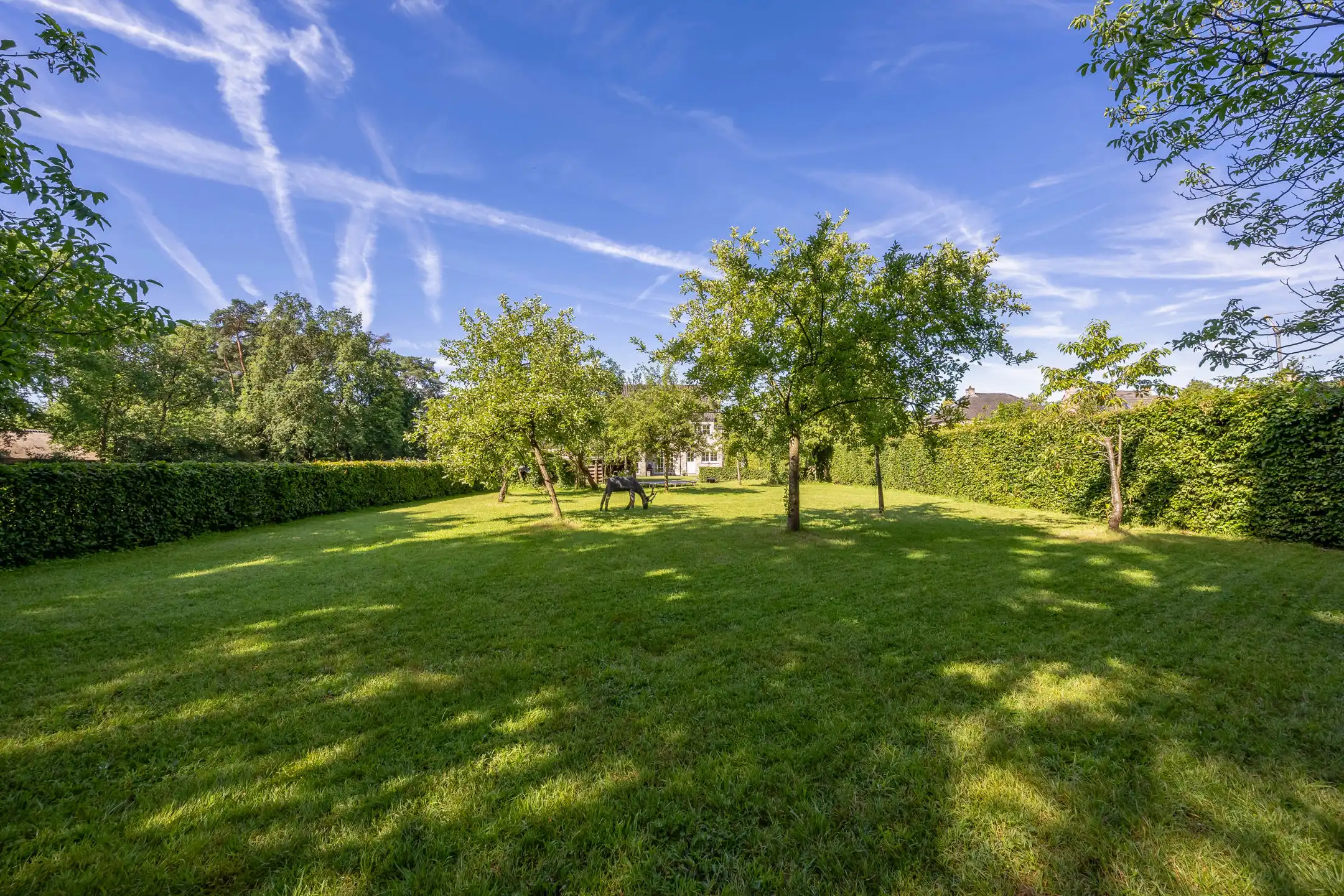 Rustig gelegen villa met prachtige tuin en zwemvijver foto 40