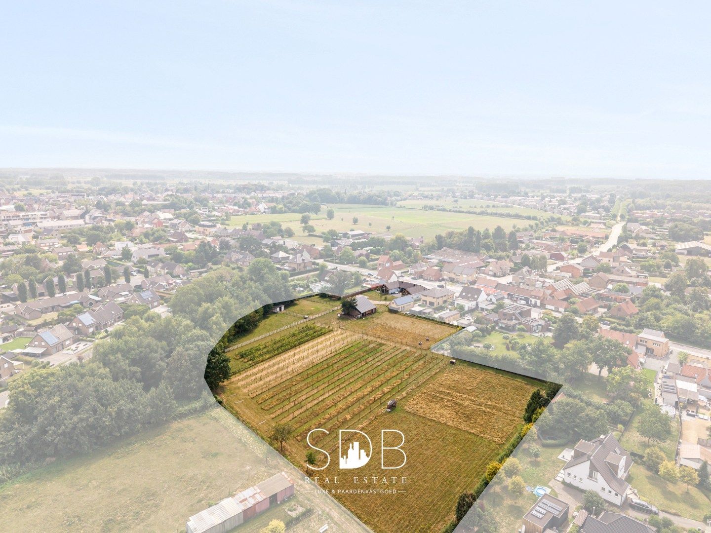 Charmante woning met wijngaard en graslanden op 14.569m² foto 31