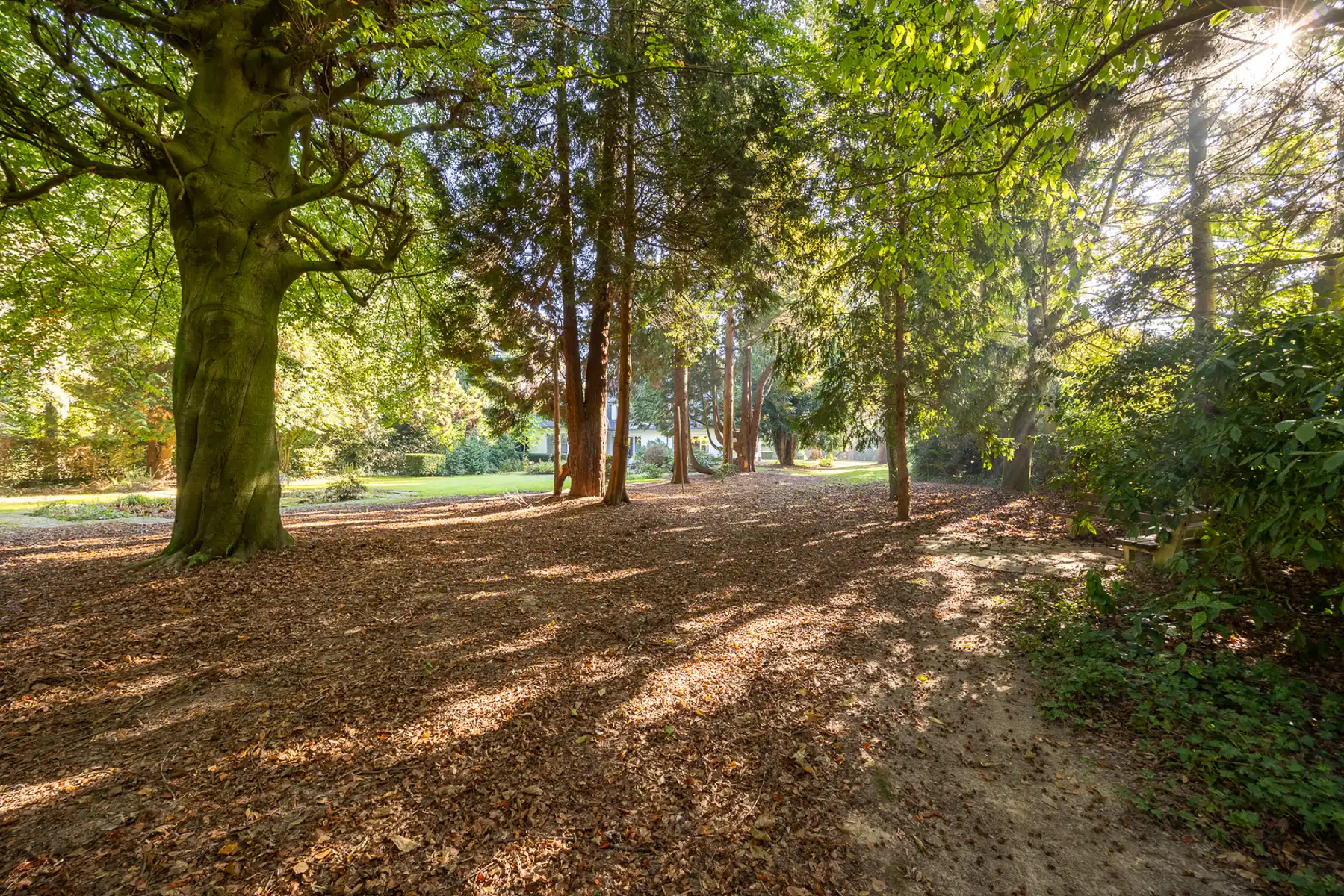 CHARMANTE VILLA OP UITZONDERLIJK PERCEEL VAN 4.656M² foto 18