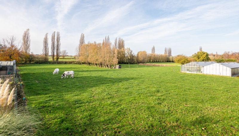 Bouwgrond voor nieuw te bouwen villa in Landegem foto 4