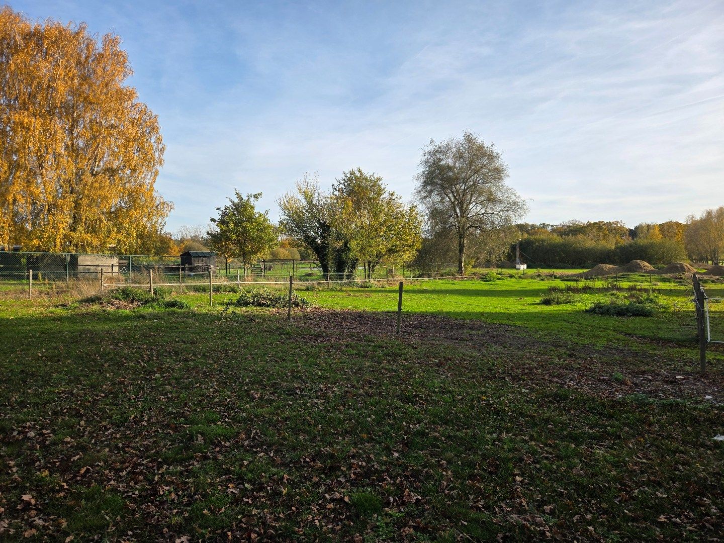 Woning met 3 slpks, schuur met 3 stallen en weiland op 2.288 m² nabij Geel-centrum ! foto 35