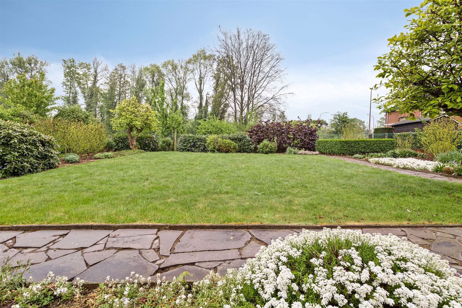 Bungalow met 4 ruime slaapkamers en mooie tuin  foto 7