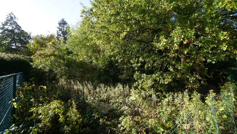 Bouwgrond van 5a53ca voor half-open bebouwing foto 4