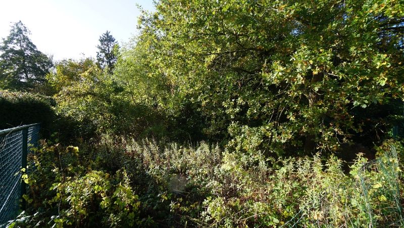 Bouwgrond van 5a53ca voor half-open bebouwing foto 4