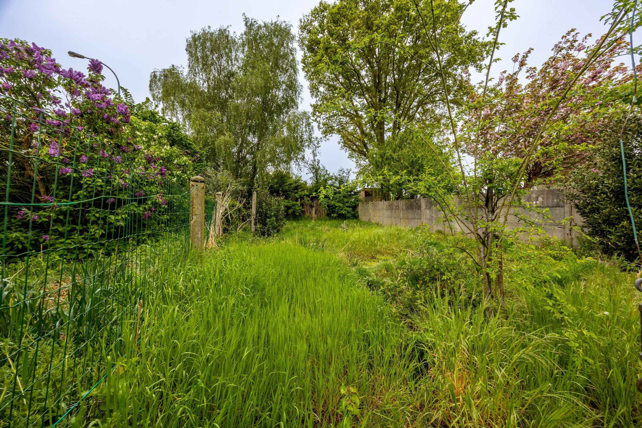 TE RENOVEREN WONING MET TUIN EN GARAGE foto 18