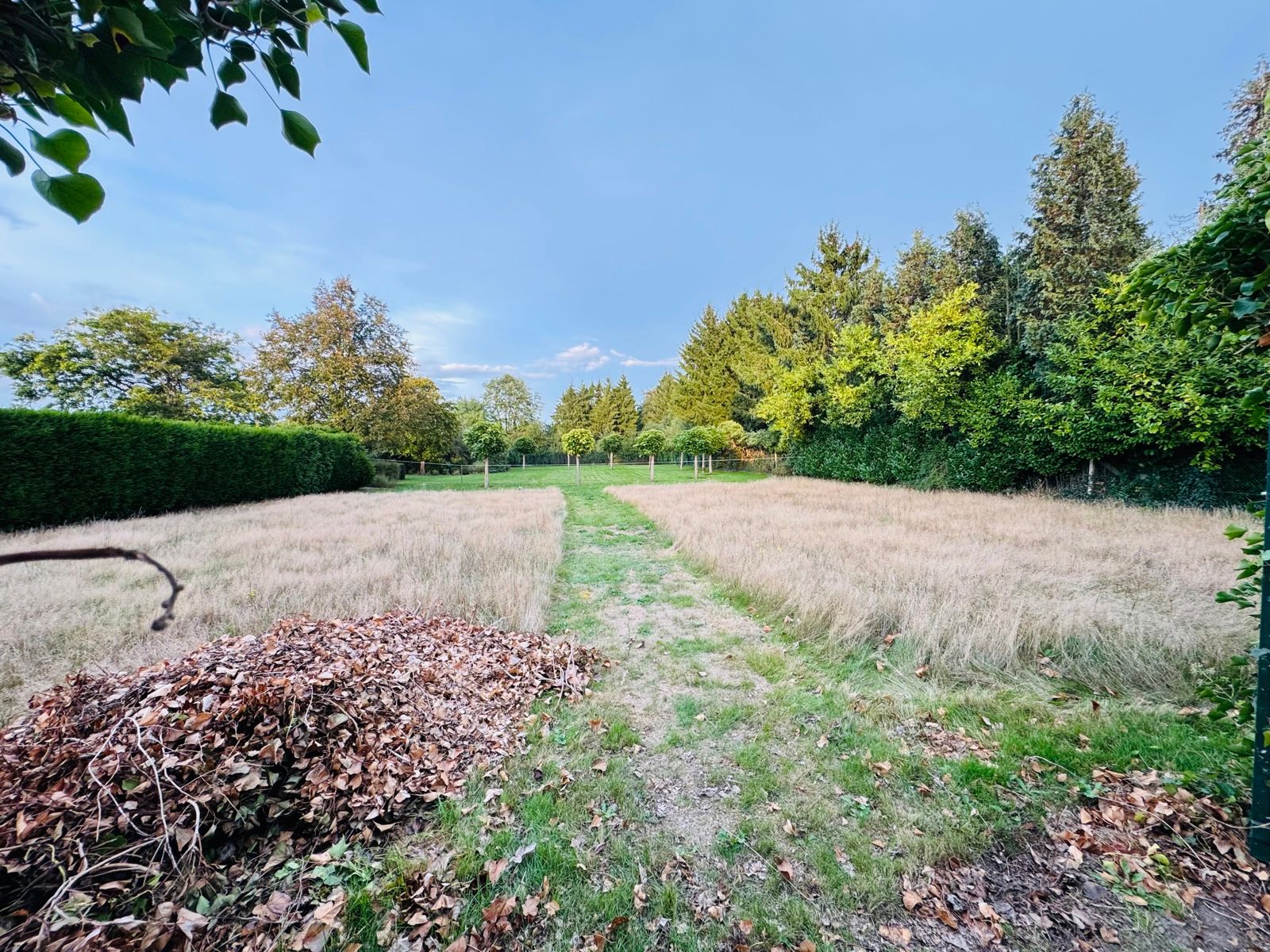 Bouwgrond van 861m² voor open bebouwing TOPLIGGING foto 13