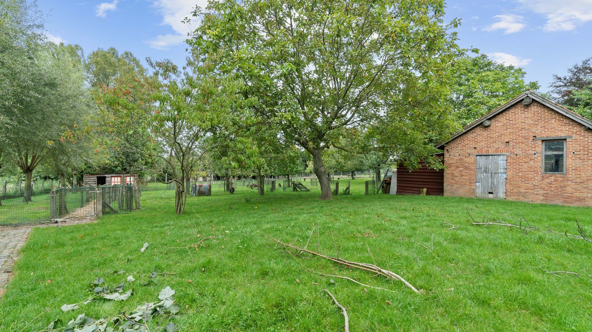 BINKOM - knappe hoeve + bouwgrond op bijna 60a foto 21