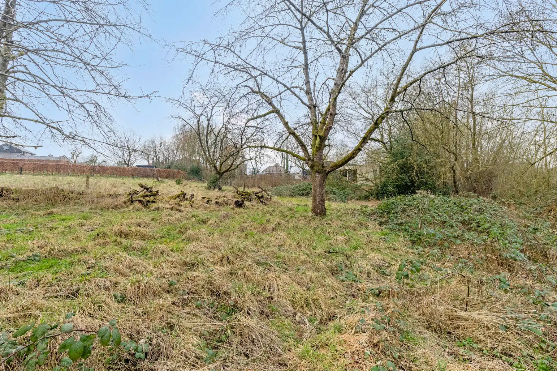 Authentieke hoeve + perceel bouwgrond foto 19