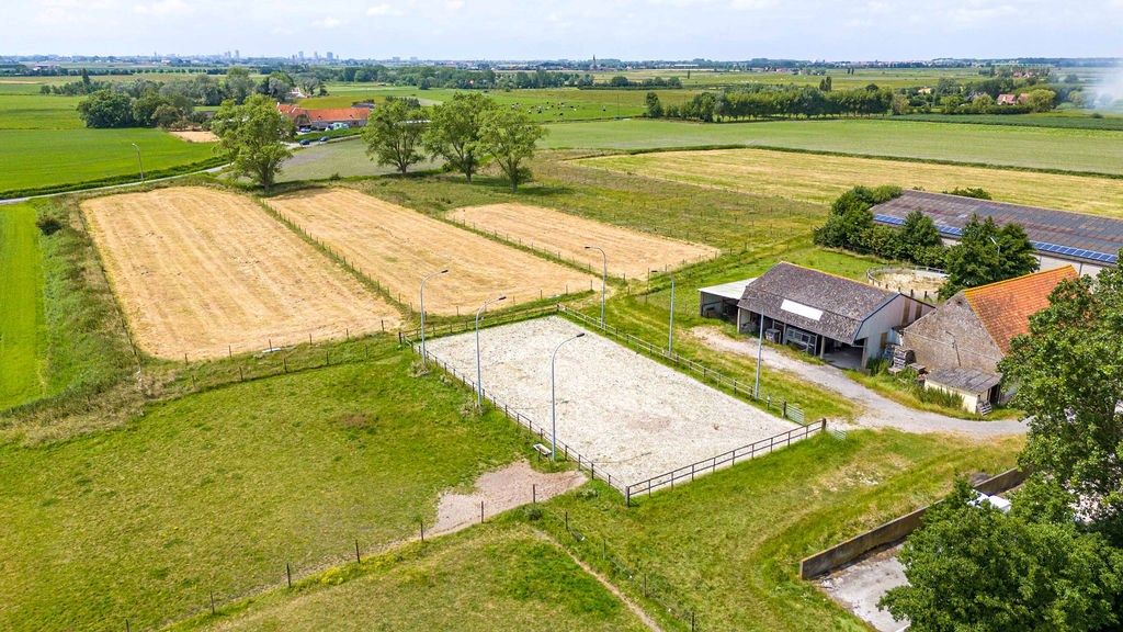 HOEVE op 6,9 HA met NIEUWE VERGUNNING voor PAARDENFOKKERIJ foto 19