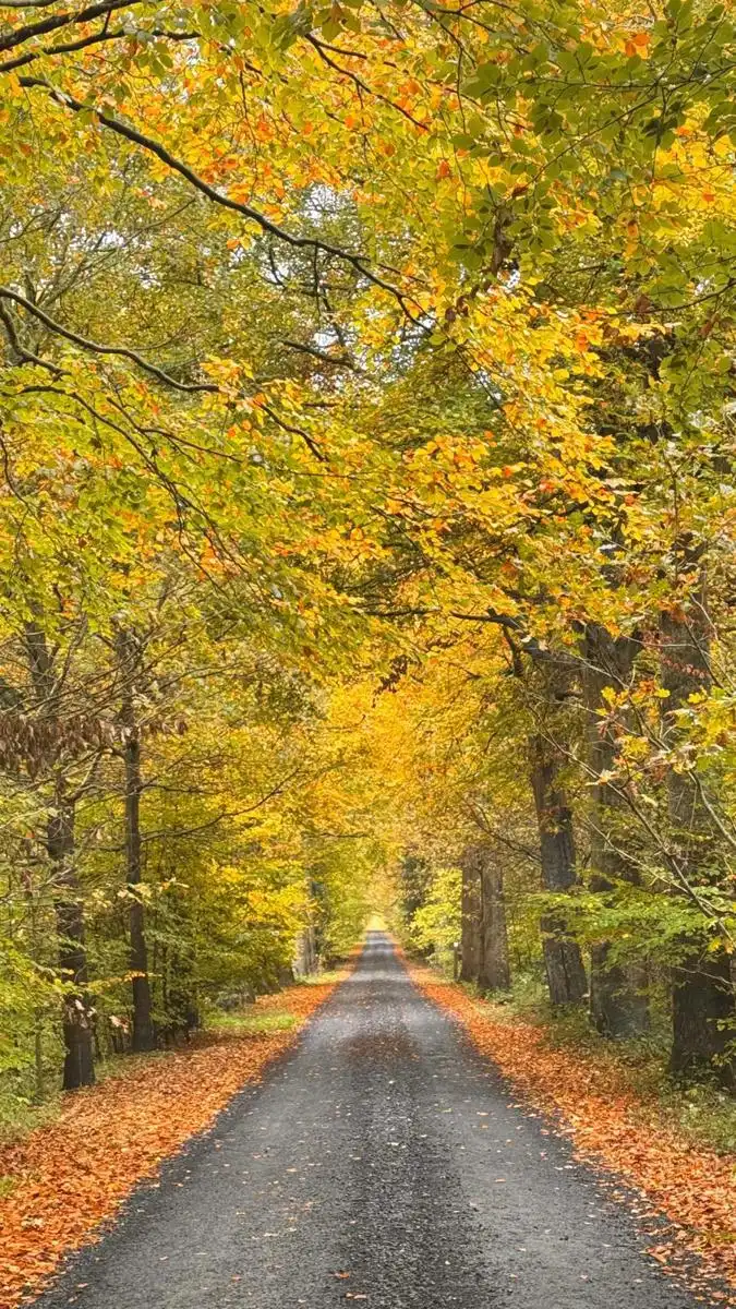 Prachtige thuis in totale discretie, tussen veld en bos... foto 8