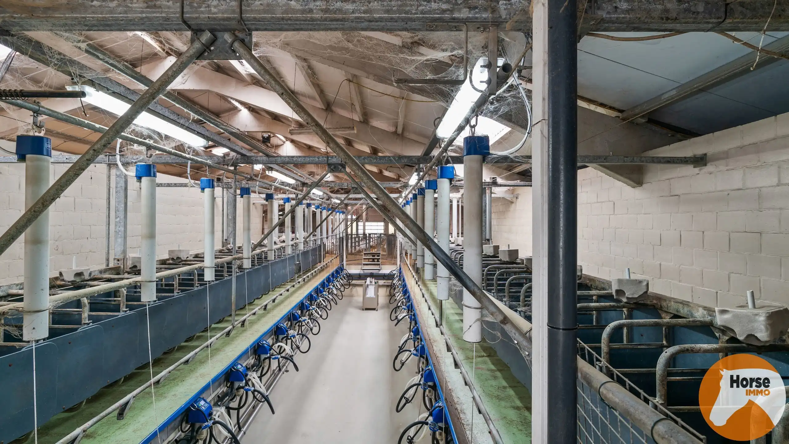 OORDEGEM - Woning met loods op 2,7HA foto 8