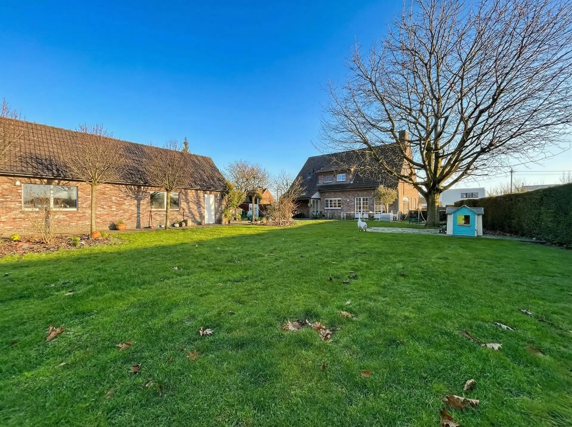 Prachtige villa met 4 slaapkamers, garage en bijgebouw op perceel van 2478m² foto 6