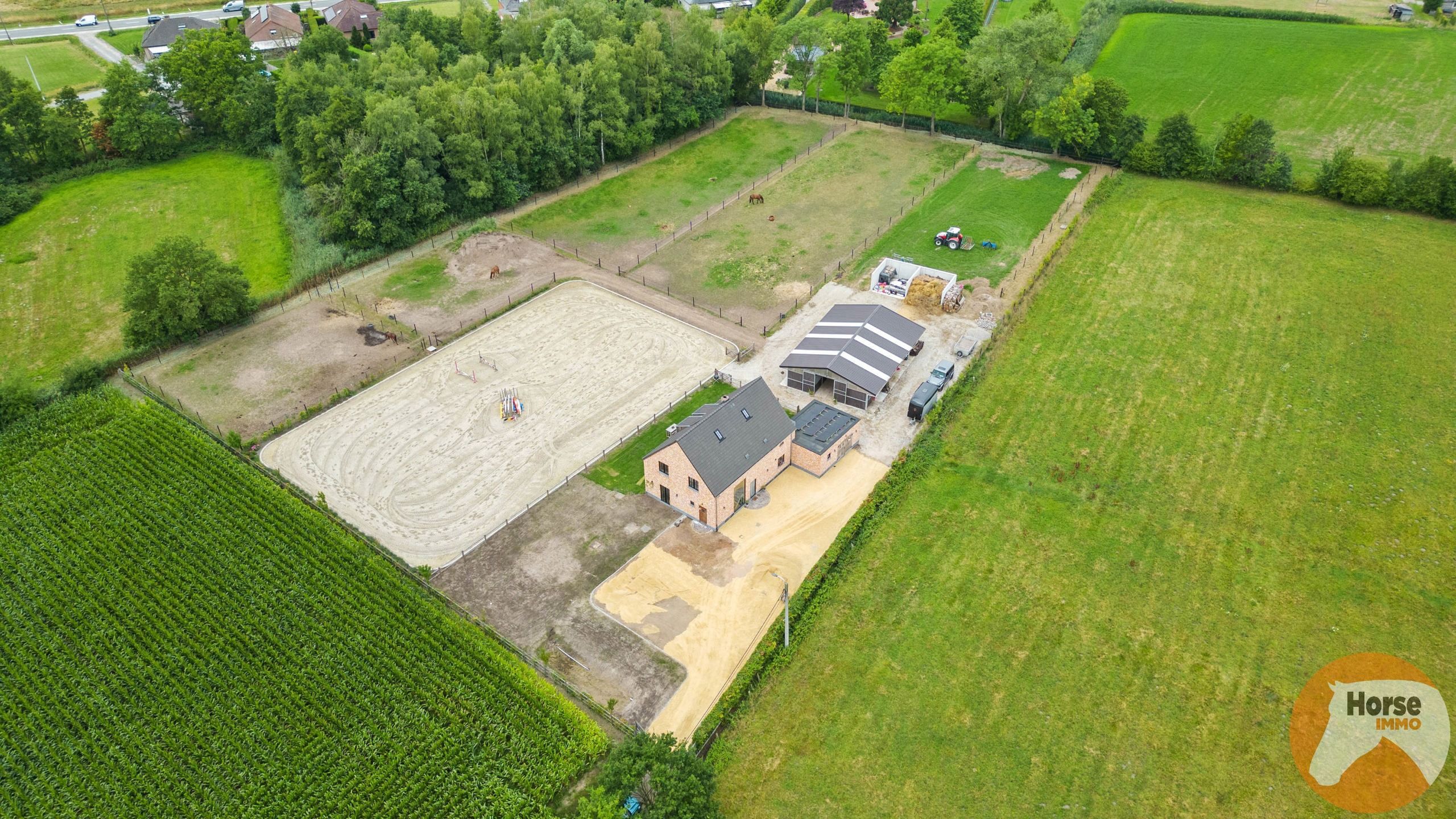 HEIST-OP-DEN-BERG - Recente landelijke woning met stallen foto 22