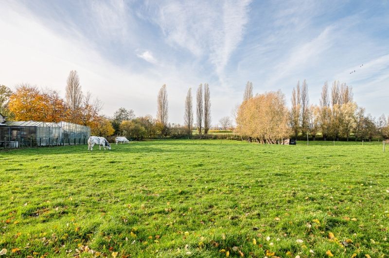 Bouwgrond voor nieuw te bouwen villa in Landegem foto 5