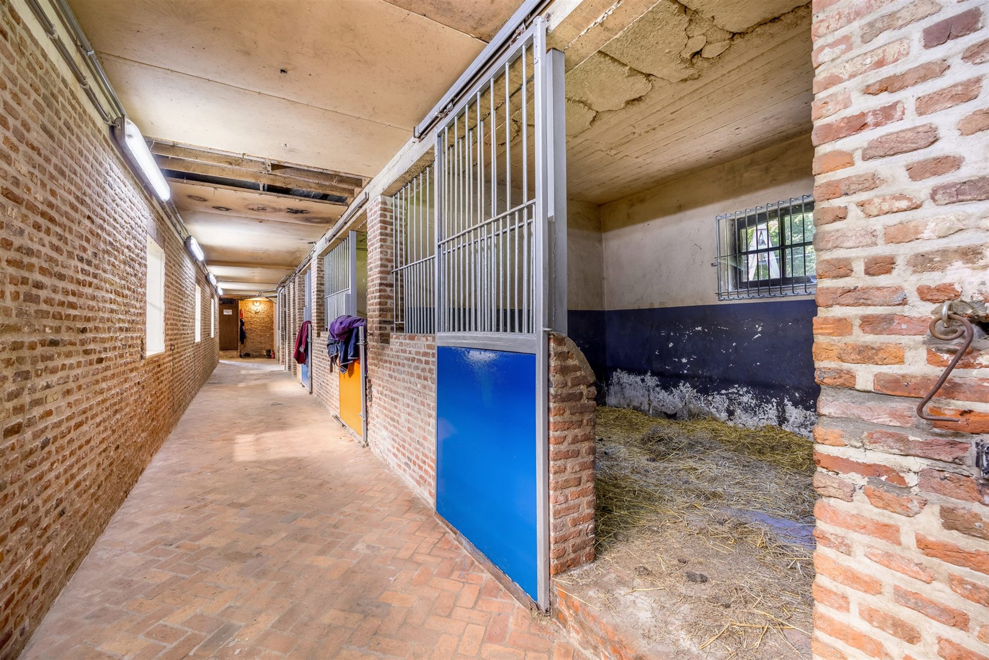UNIEKE EIGENDOM MET 24 PAARDENSTALLEN EN BINNENPISTE OP CA 10 HECTARE TE PAAL-BERINGEN foto 5