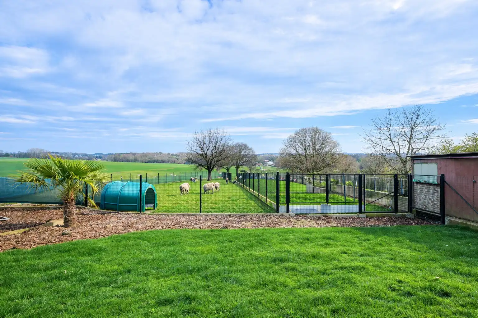 Dit uitzonderlijk ruim en energiezuinig landhuis op 4.149 m² combineert comfort, volume en een instapklare afwerking met tal van mogelijkheden. Topper! foto 31