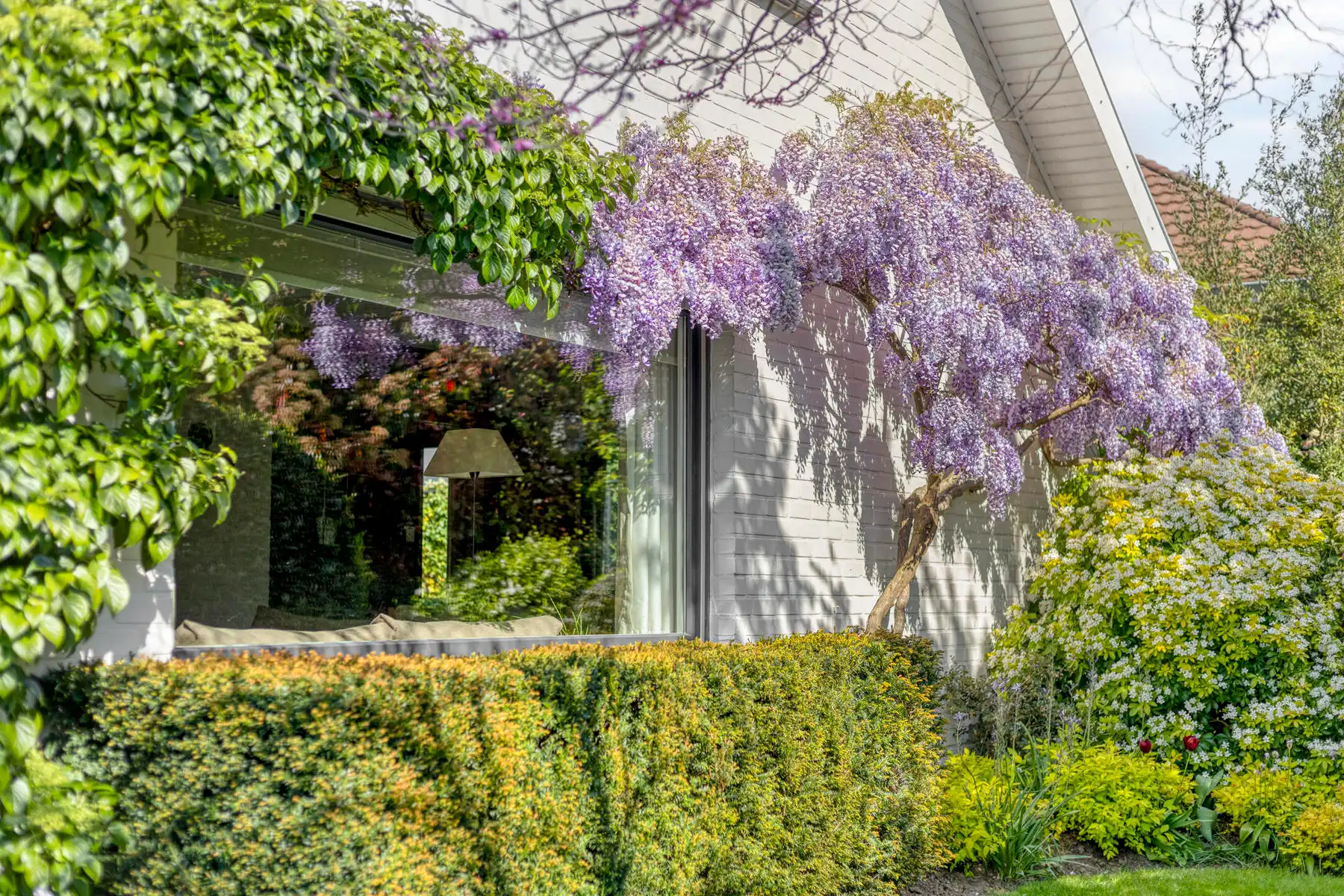 Leemans Immobiliën presenteert u deze charmante, instapklare bungalow, ideaal gelegen in het gegeerde Asse.  foto 28