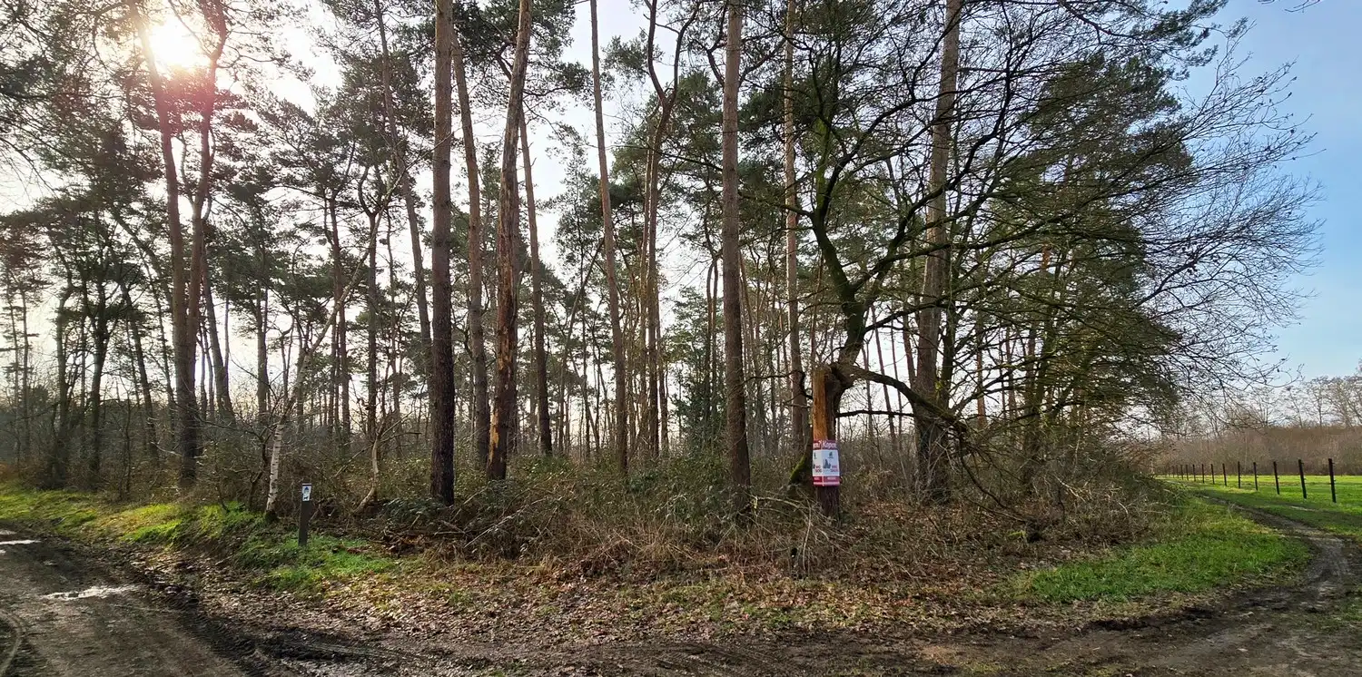 Grond te koop foto 2