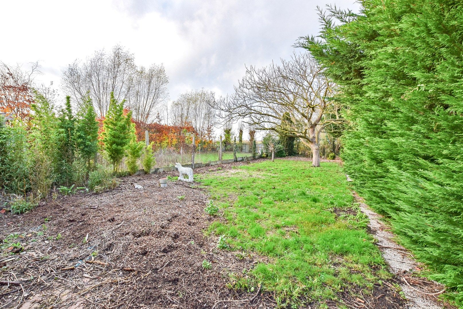 KIJKDAG ZATERDAG 03/01 VAN 10U TOT 12U! foto 21