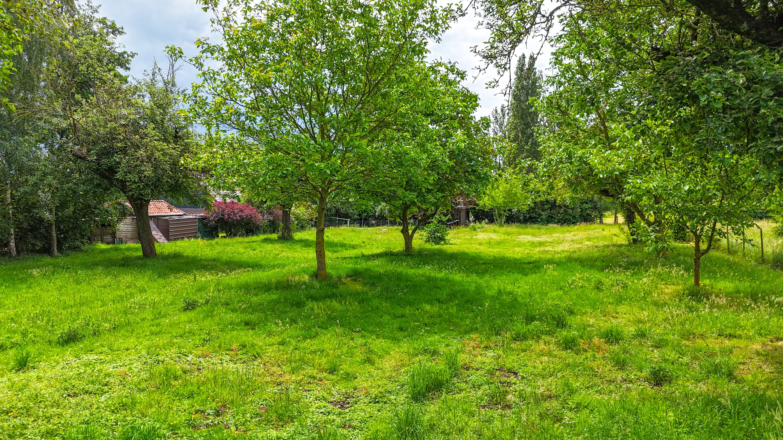 Authentieke hoeve met perceel van 68are en 2slpks! foto 60