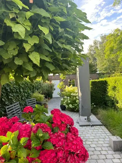 Verzorgde instapklare woning met 4 slaapkamers en ruime garage. foto 35