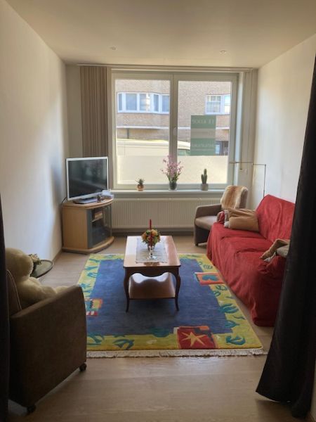 Tof, instapklaar gelijkvloers appartement met kelder foto 3