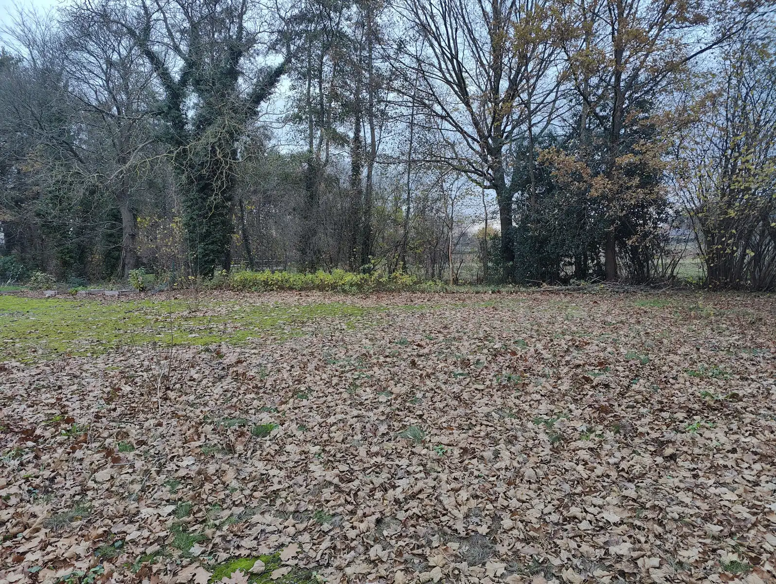 Zeer interessante bouwgrond op toplocatie foto 6