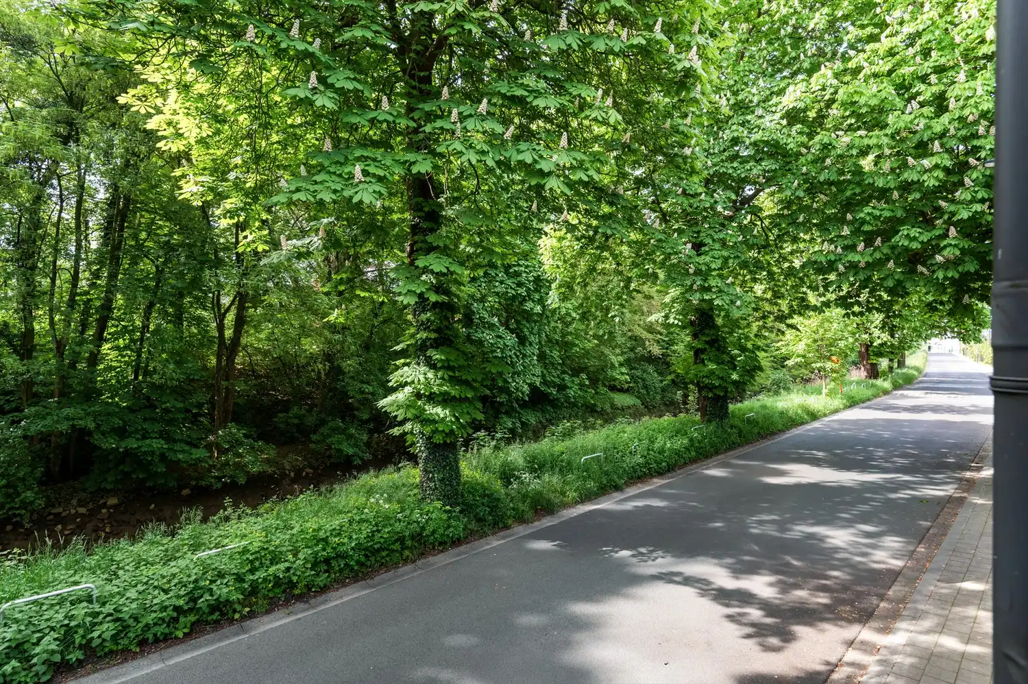 Mooi gerenoveerde woning op Toplocatie nabij centrum Lier foto 3