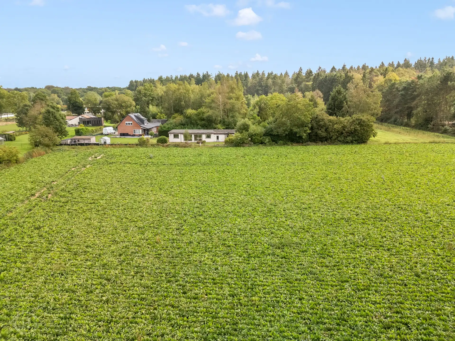 Uniek perceel met prachtig uitzicht te Blanden foto 9