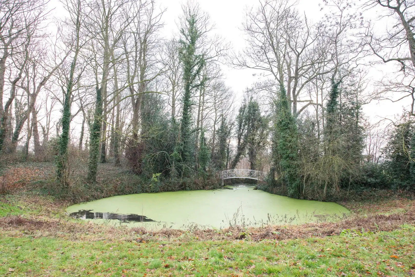 Ruim 2-slaapkamerappartement in centrum Wakken met zicht op groen! foto 19