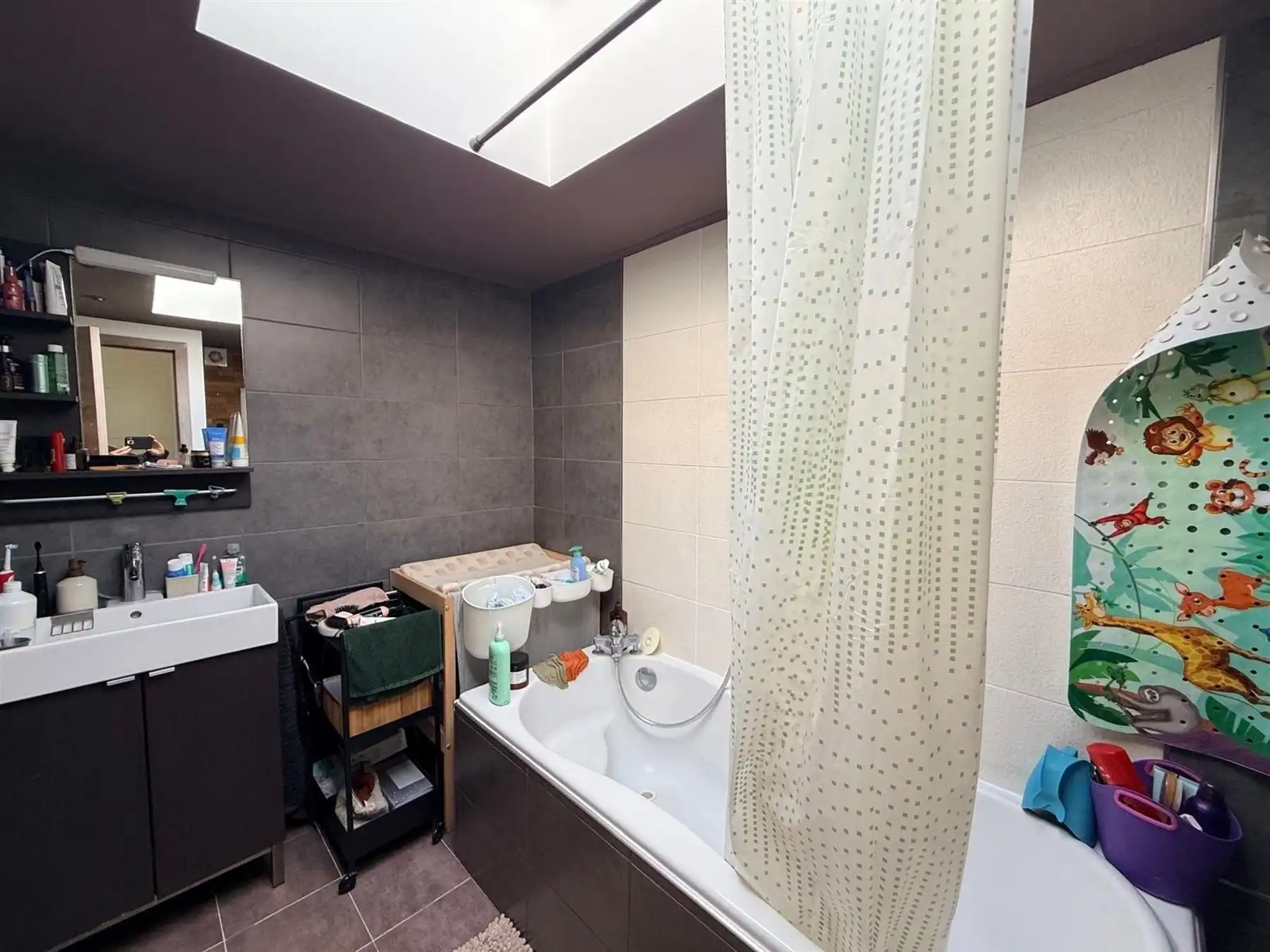 ENERGIEZUINIGE, INSTAPKLARE  RIJWONING  foto 6